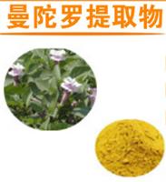 曼陀罗提取物10:1 水溶曼陀罗粉 植物曼陀喷雾干燥萃取 现货包邮