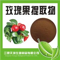 玫瑰果提取物 10:1提取玫瑰果 含维生素C 玫瑰果比例浓缩粉 包邮