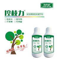 果树控旺 果树控梢 膨大 丰收状元升华永乐