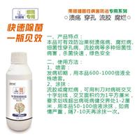 柑橘溃疡病** 桃树流胶病 辛菌胺醋酸盐 细菌性病害防治