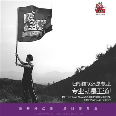 返青期追肥** 小麦叶面肥 飞防用叶面肥