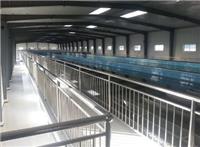 供甘肃水厂净化工程和兰州净化装修工程特点