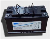 A412/65G6 德国阳光蓄电池
