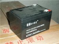 东方阳光蓄电池12V12AH 铅酸免维护 UPS不间断备用电源 直流屏