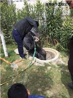 北京找水下工程堤坝加固 速邦水下工程公司