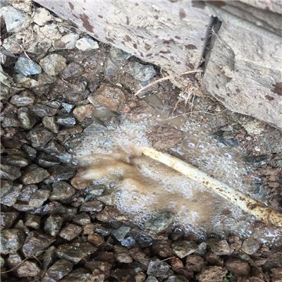 广东埋地管道漏水检测，随时免费咨询是否存在漏水问题