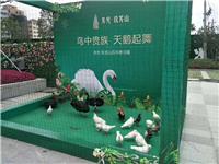萌宠出租*珍禽动物展览租赁*百鸟展资源推荐