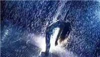 神奇雨屋出租*雨屋租赁价格