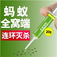 虫虫战队红蚂蚁药灭红火蚁杀虫剂家用灭蚁饵剂家庭常见小蚂蚁全窝端