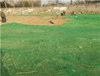 楚雄州好的工地盖土网遮阳网防尘网生产工艺4针