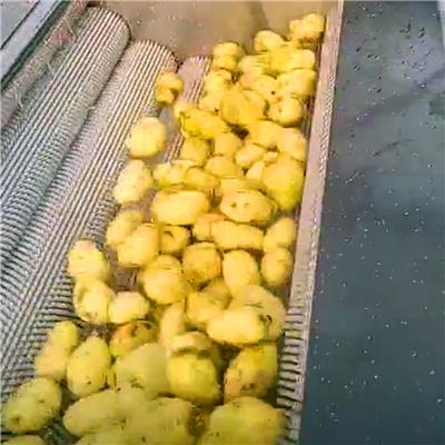 供应1000型毛辊去皮机 土豆毛辊去皮机占地面积小 容量大