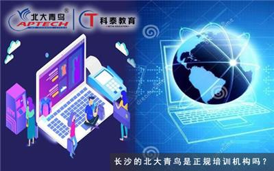 长沙*青鸟科泰教育是正规IT培训机构吗