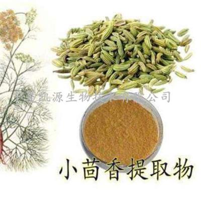 小茴香提取物 小茴香粉 10:1 多种规格 1公斤起订