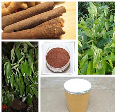 宁夏凯源生物供应肉桂提取物 1公斤起订 长期供应