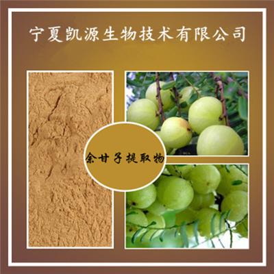 厂家供应余甘子提取物10:1 余甘子粉 多种规格 现货包邮