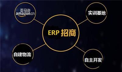 AmazonERP亚马逊铺货ERP跨境电商erp系统一键采集翻译上传店群系