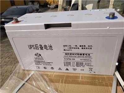 双登蓄电池6-GFM-100价格参数