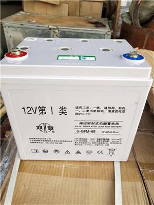 双登蓄电池12V65AH参数现货