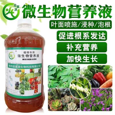 大棚花卉植物营养液什么产品好用