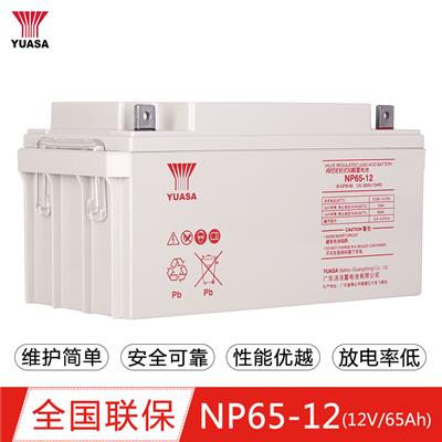 原装YUASA汤浅蓄电池 NP65-12 12V65AH UPS电源直流屏用铅酸电瓶