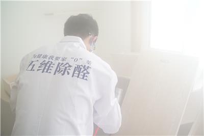 家零荃*二维度红松菓空气清新剂喷涂除醛，高效净化