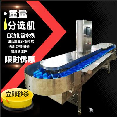 鱼类自动分拣机价格 海鲜自动分级机厂家--山东广昌机械
