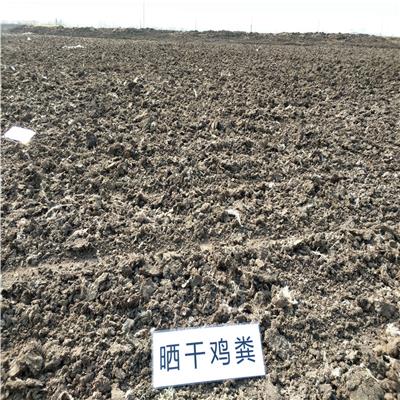 附近哪有广东汕尾腐熟牛粪质量好