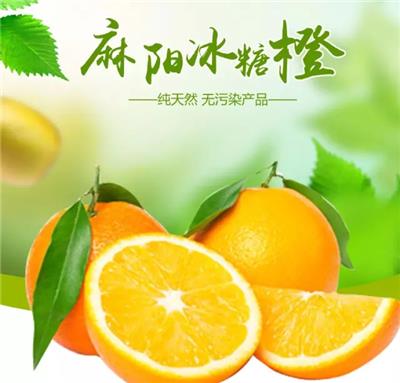 超市直供湖南麻阳冰糖橙经销商