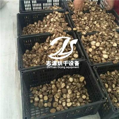环保型XG-12P蘑菇烘干机受热均匀 香菇烘干炉