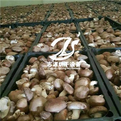 空气能蘑菇烘干机 环保节能型XG-15P蘑菇烘干机安全可靠