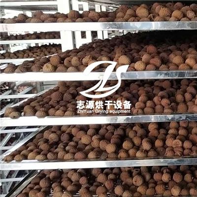 荔枝干烘干房 新型LZ-20P荔枝干烘干机配件精良