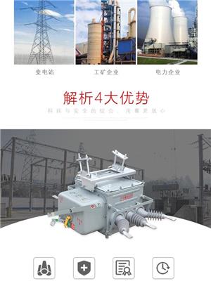 FZW28-12/630负荷开关厂家直销 高压负荷开关 实力厂家批发