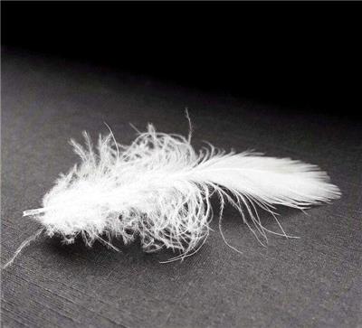 进口鸭毛报关清关，专业清关代理