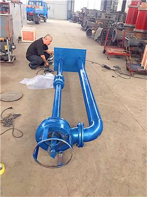 江苏热电厂立式液下泥沙泵 立式吸砂泵 质量有**