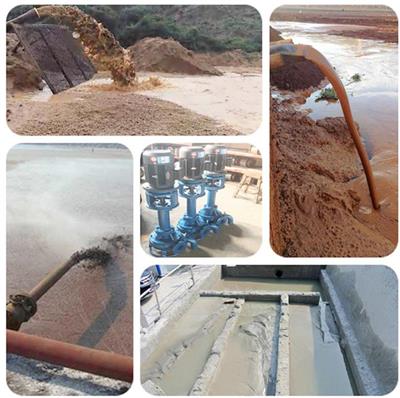 日照冶金选矿立式液下泥沙泵 煤泥泵 发货速度快