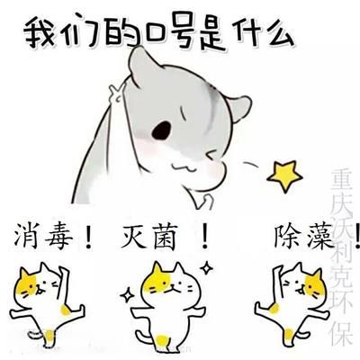 六安厂家批发紫外线消毒设备产品优选 厂家直接发货