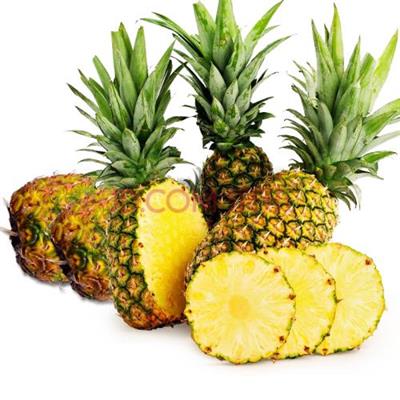 菲律宾菠萝进口报关清关物流代理