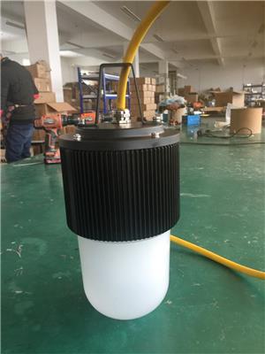 防爆行灯FW6320防水防尘行灯 三防灯50W 作业检修灯船用大功率行灯