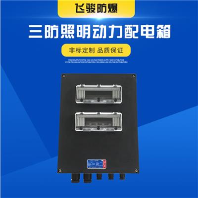 防爆防腐配电箱 三防配电箱 防爆防腐照明配电箱