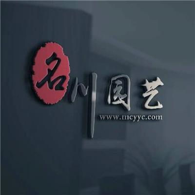 长期供应4-25cm优质紫薇 单杆紫薇 丛生紫薇 成都绿化苗木紫薇 皮地区名川园艺场长期供应紫薇