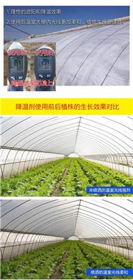 大棚降温剂立凉降温涂料