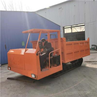 工程履带运输车 定制全地形爬山王四不像车 3吨座驾式履带车