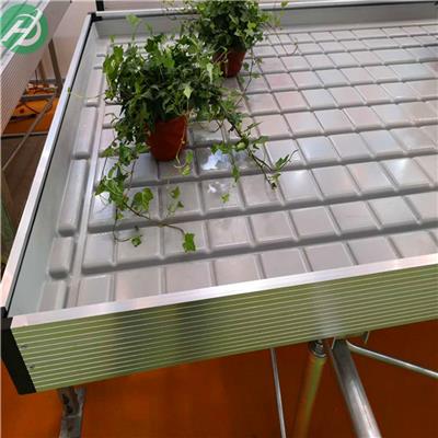 温室移动潮汐苗床实用 植物盆栽苗床简易 智能育苗床厂家技术