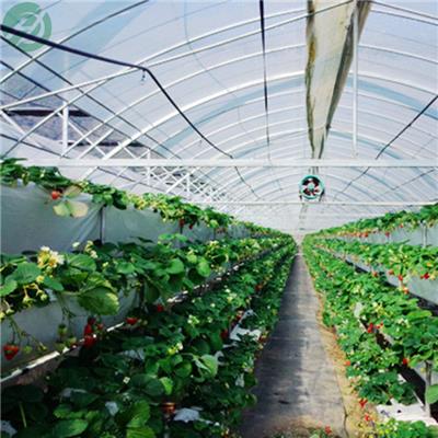 大棚草莓槽供应商 草莓槽取土栽培 实体厂家