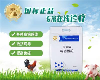 畜牧堂板青颗粒1000g袋发烧感冒畜禽抗病毒