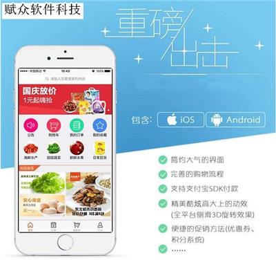 专业app开发