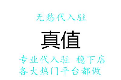 真值怎么入驻开店