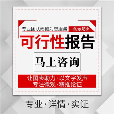 娄底可行性研究报告公司 一对一服务