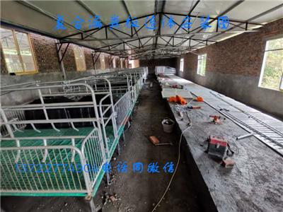 邢台母猪复合产床一套多少钱