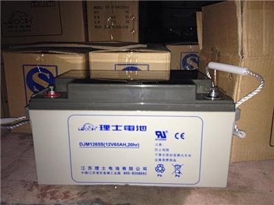 LEOCH理士蓄电池DJM1265S 12V65AH 直流屏UPS电源EPS**铅酸电瓶